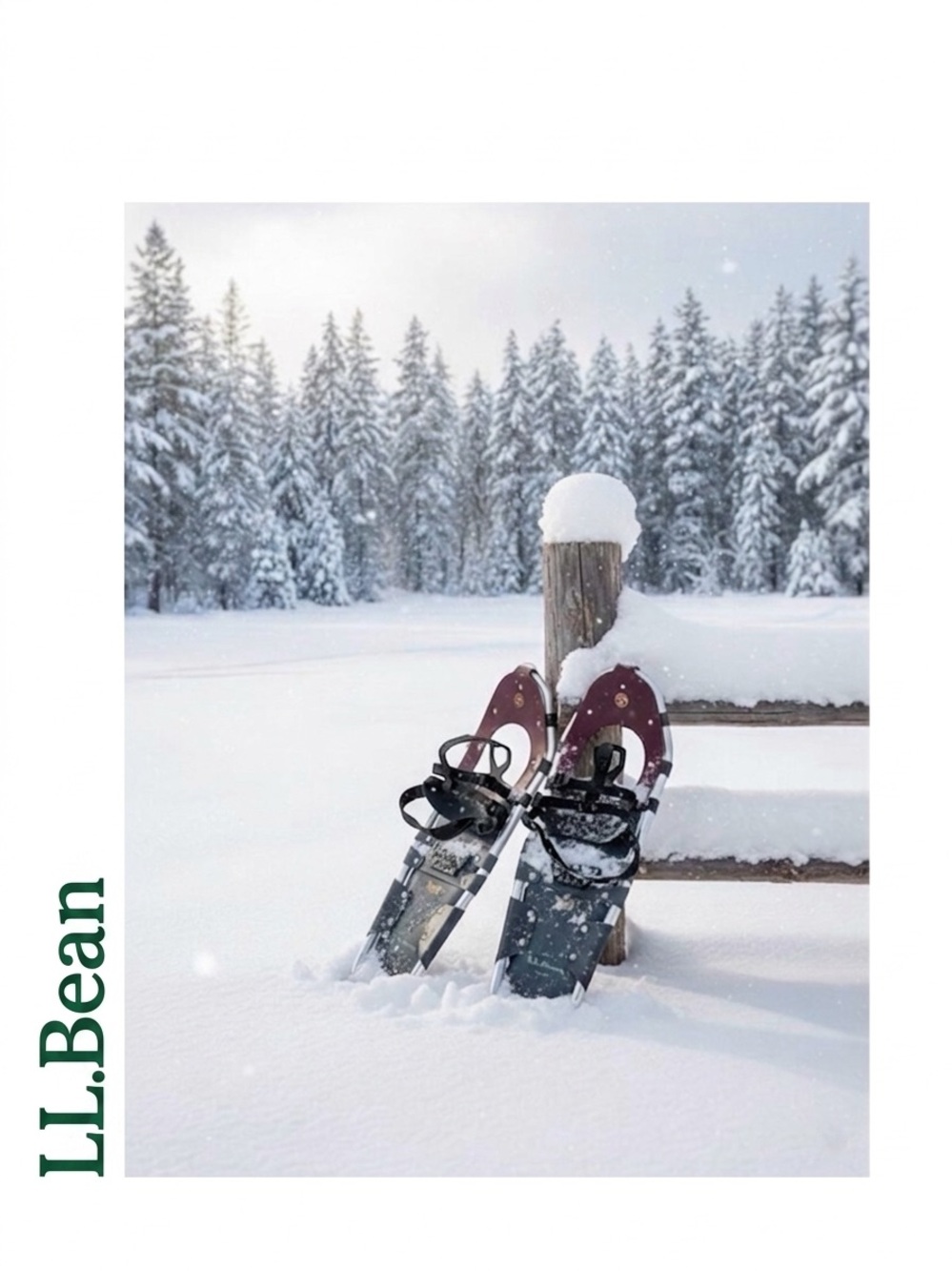 Premium L.L. Bean Winter Walker Snowshoes by Tubbs Sz 27,